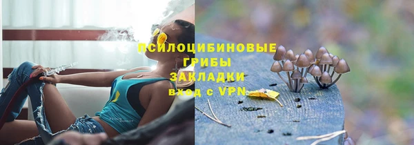 марки lsd Богородицк