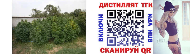 ОМГ ОМГ   Долинск  ТГК концентрат 